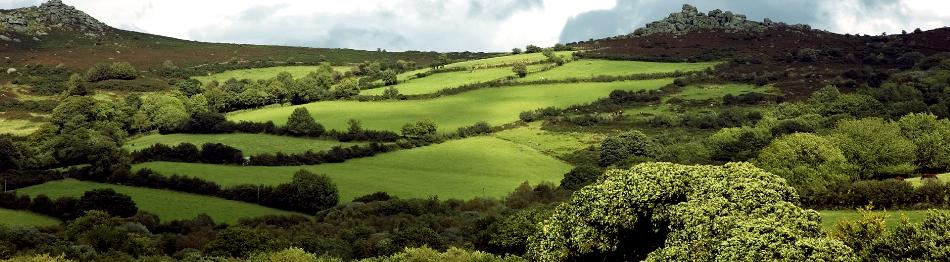 WidecombeintheMoorDevon